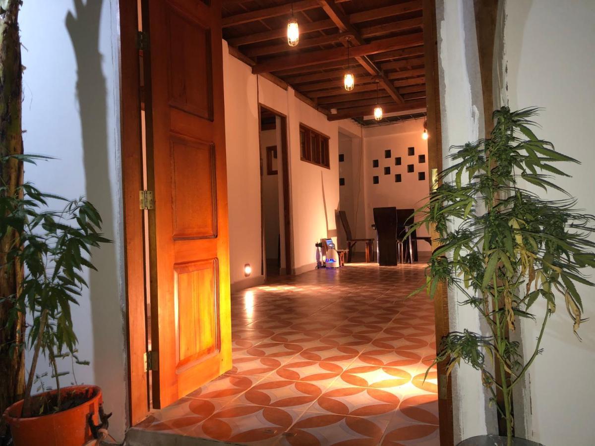 Casa Palum Private Room Private Bathroom Palomino Εξωτερικό φωτογραφία